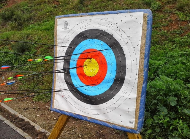  Target with arrows stuck 